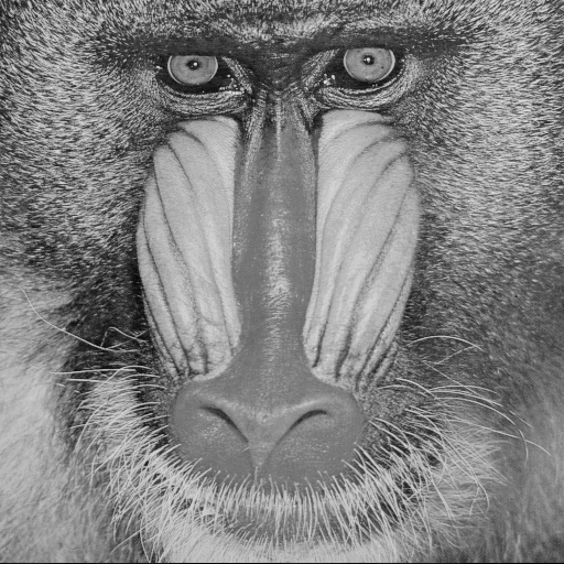Baboon_decry_N3_M12_1_3_7_Z1.png