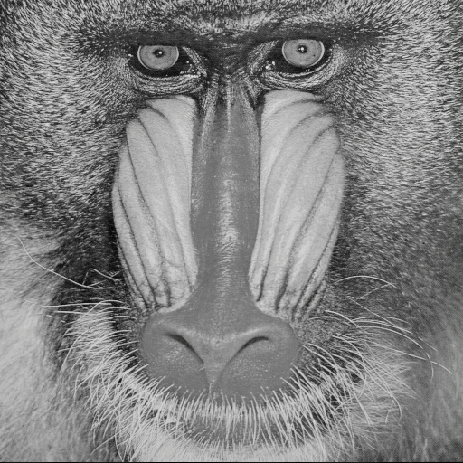 Baboon_invmut_N3_M12_1_3_7_Z1.png