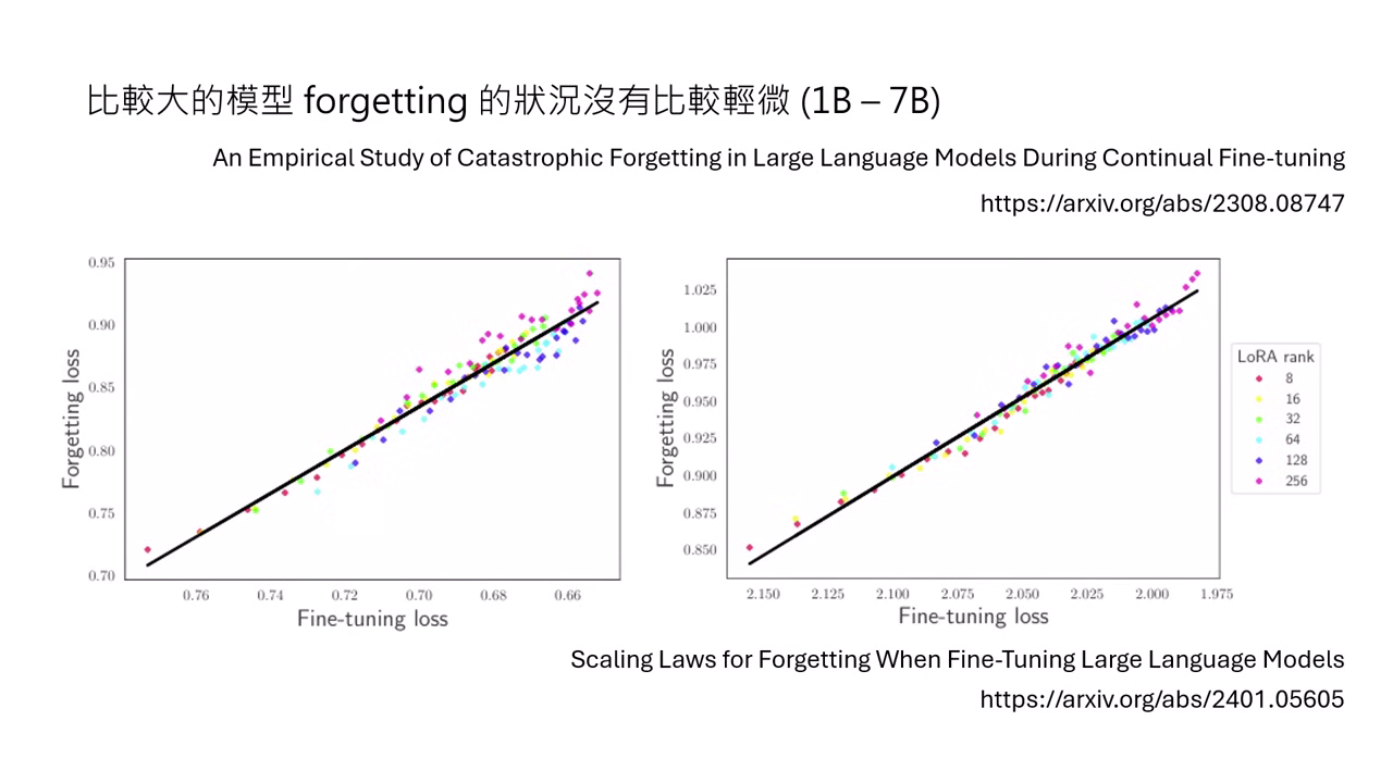 forgetting-is-scale-invariant