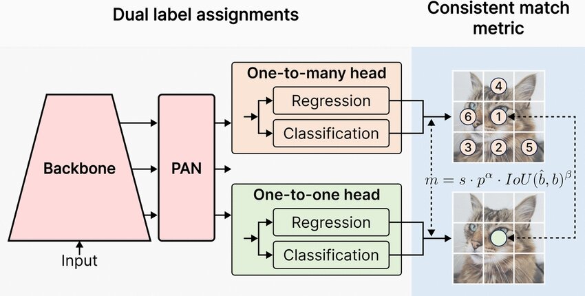 yolov10-consistent-dual-assignments